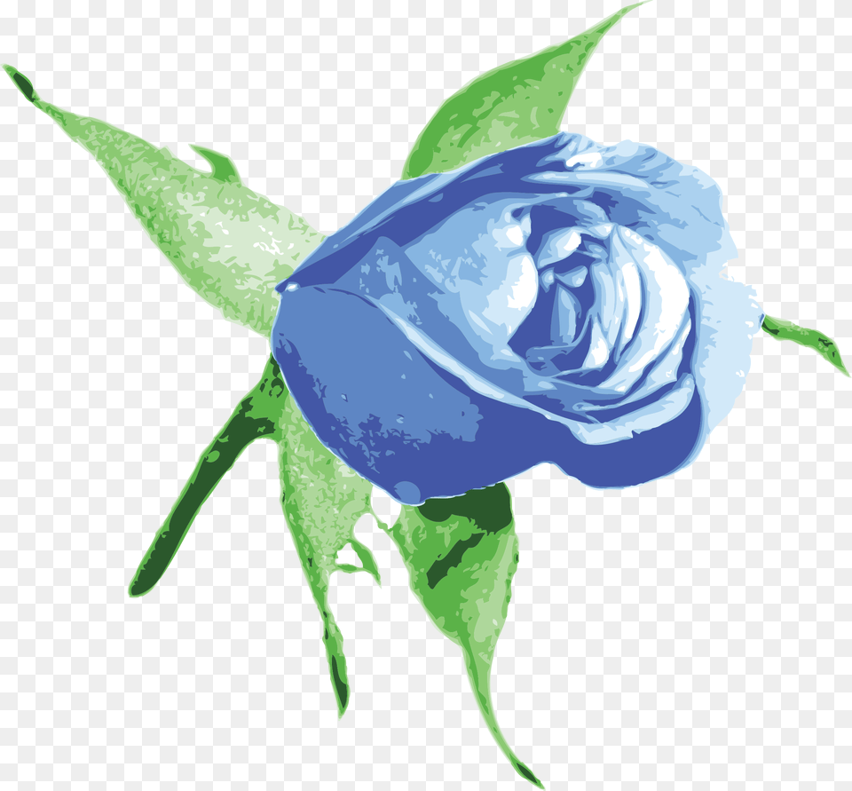 Raseone Rose Blue Clip Arts Background Light Blue Roses, Flower, Plant, Person Free Transparent Png