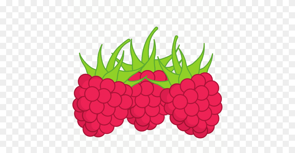 Raspberries, Berry, Food, Fruit, Plant Free Png