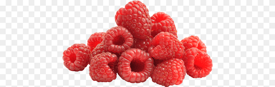 Raspberries American Red Raspberry, Berry, Food, Fruit, Plant Free Png Download
