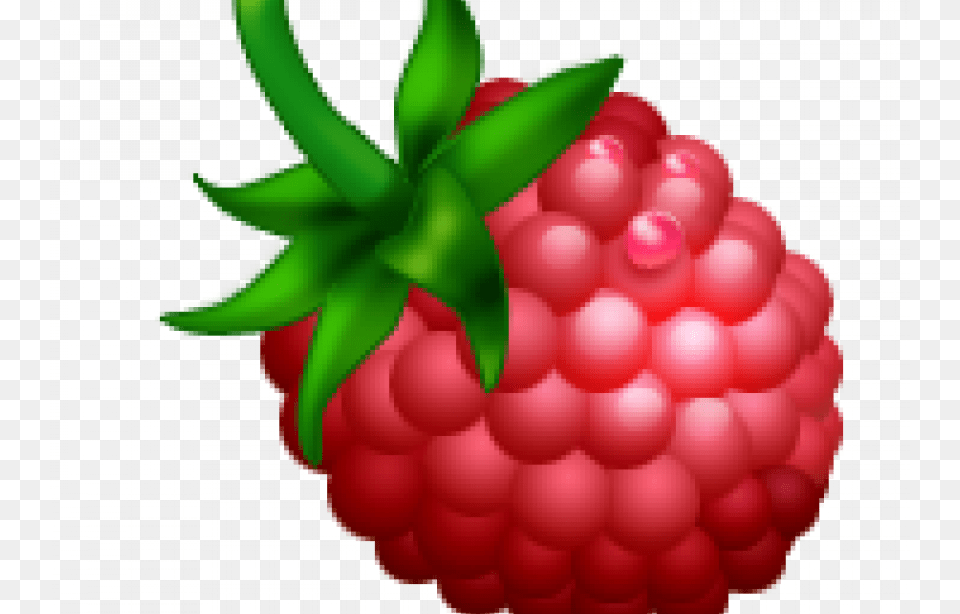 Raspberries And Communion Raspberry Clipart, Plant, Berry, Food, Fruit Free Transparent Png