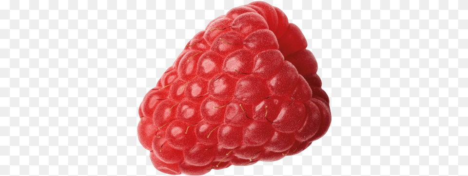 Raspberries Berryworld Raspberry, Berry, Food, Fruit, Plant Png Image