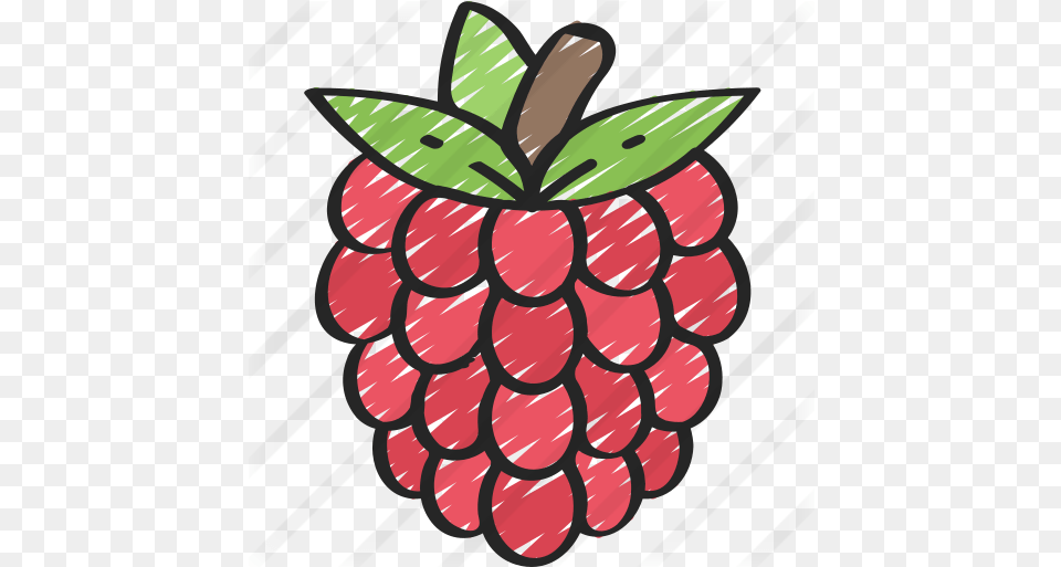 Raspberries Clip Art, Berry, Food, Fruit, Plant Png