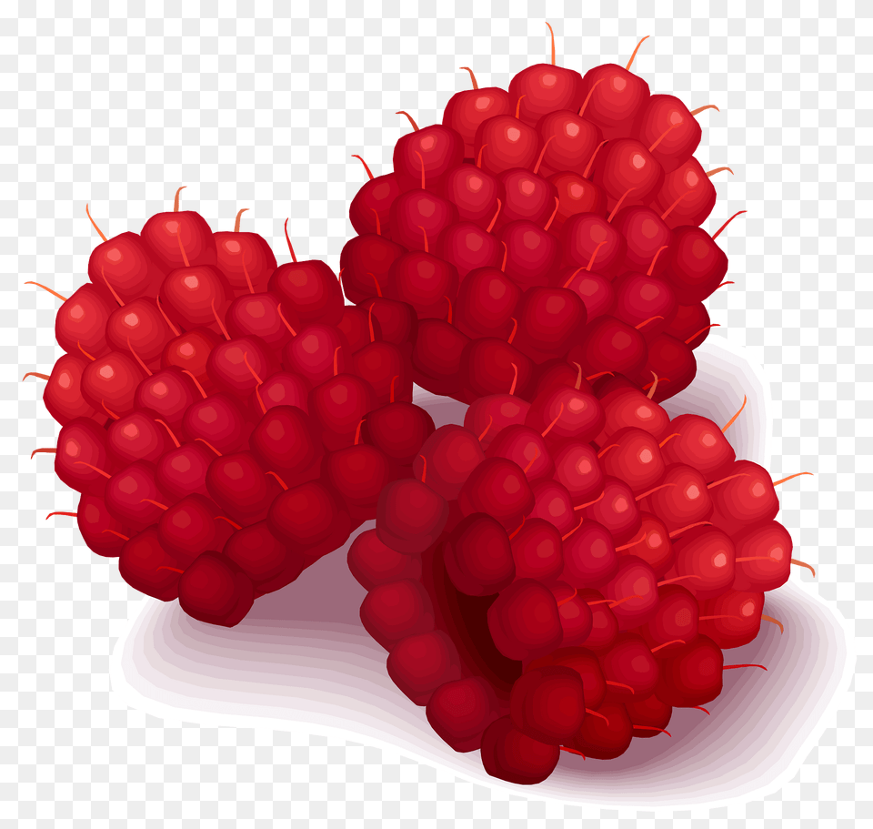 Raspberries Clipart, Berry, Produce, Plant, Fruit Png Image