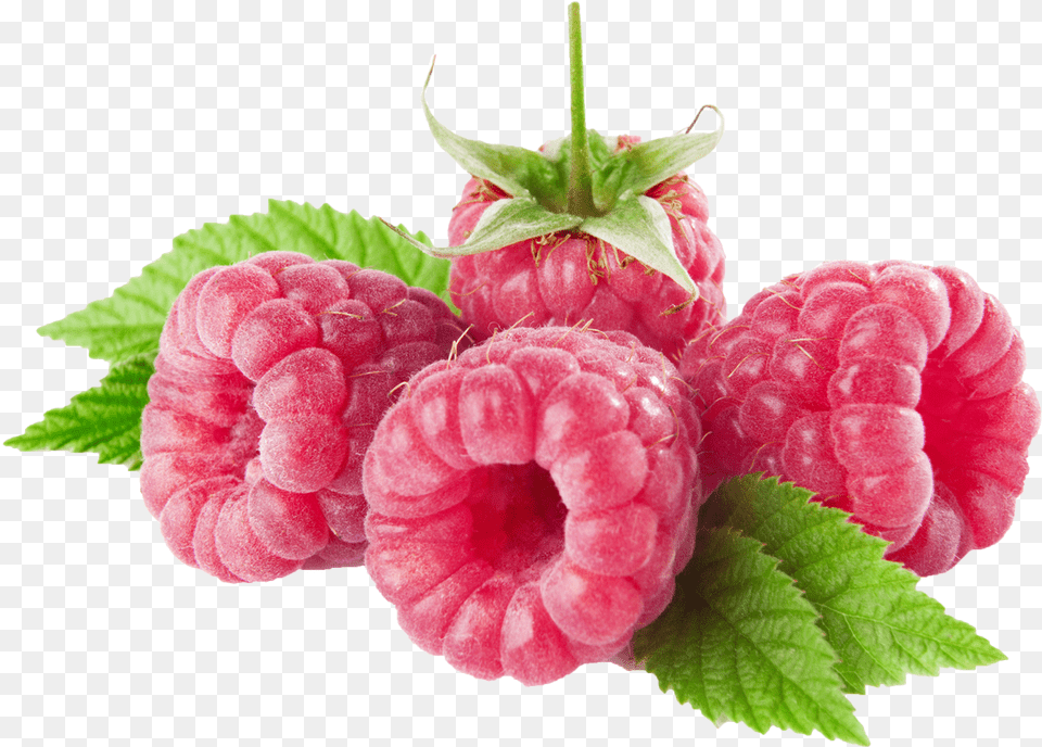 Raspberries Clipart Free Transparent Png