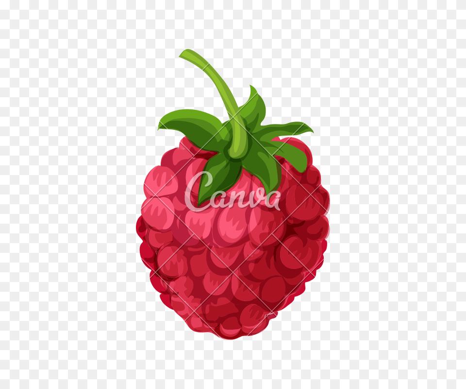 Raspberries Icon, Berry, Food, Fruit, Plant Png
