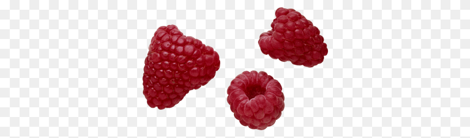 Raspberries In Hand Image, Berry, Food, Fruit, Plant Free Transparent Png