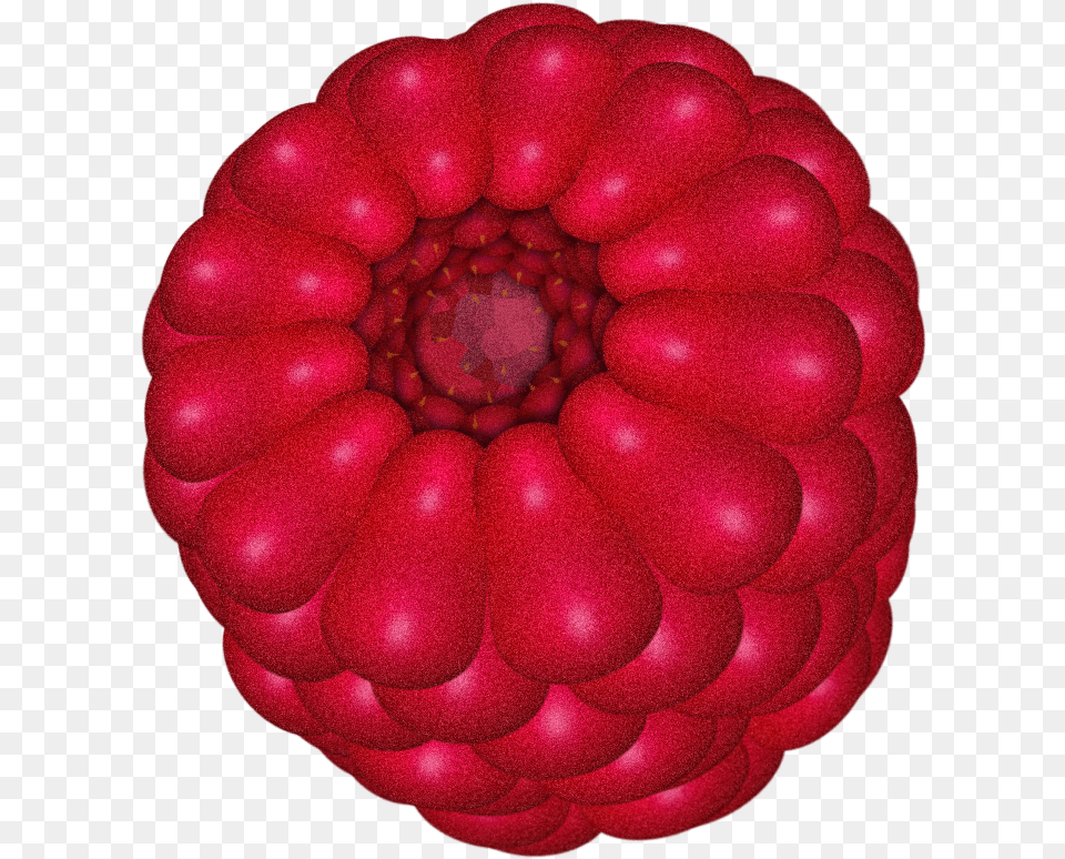 Raspberry 003 513d890 Common Zinnia, Berry, Food, Fruit, Plant Free Transparent Png