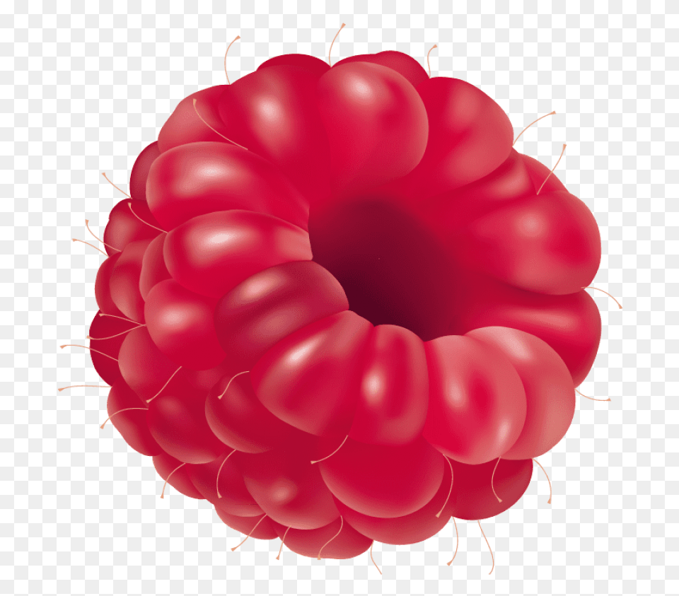 Raspberry, Berry, Food, Fruit, Plant Png Image