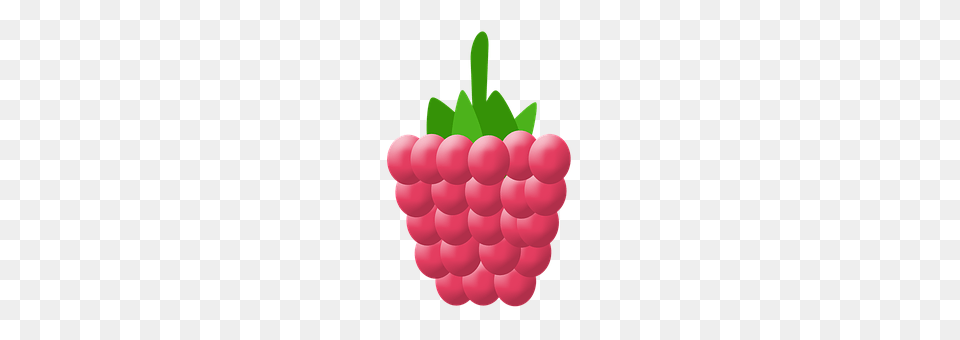 Raspberry Berry, Food, Fruit, Plant Free Png