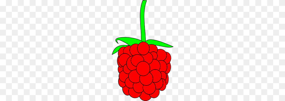 Raspberry Berry, Food, Fruit, Plant Png