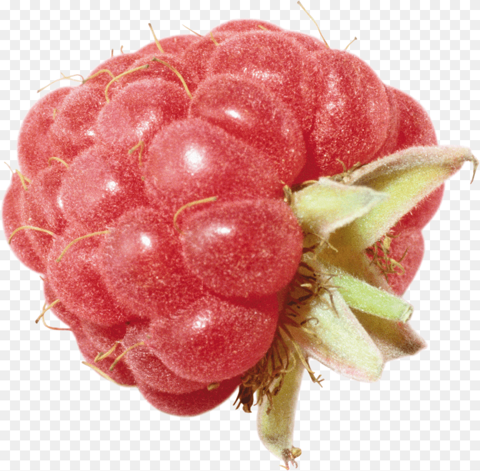 Raspberry Free Transparent Png