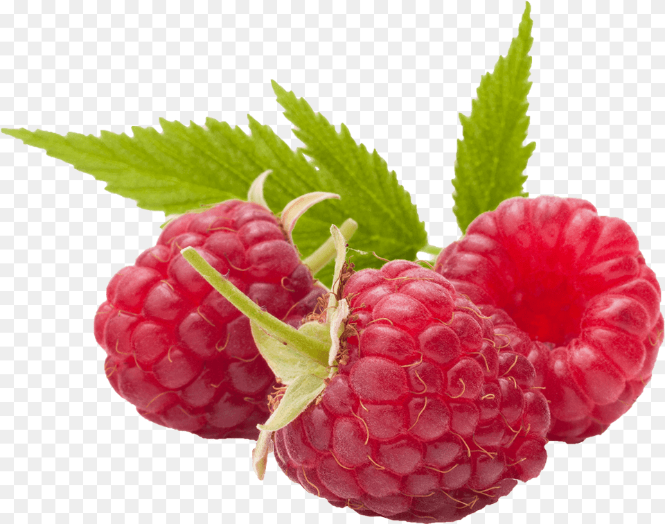 Raspberry, Berry, Food, Fruit, Plant Png Image