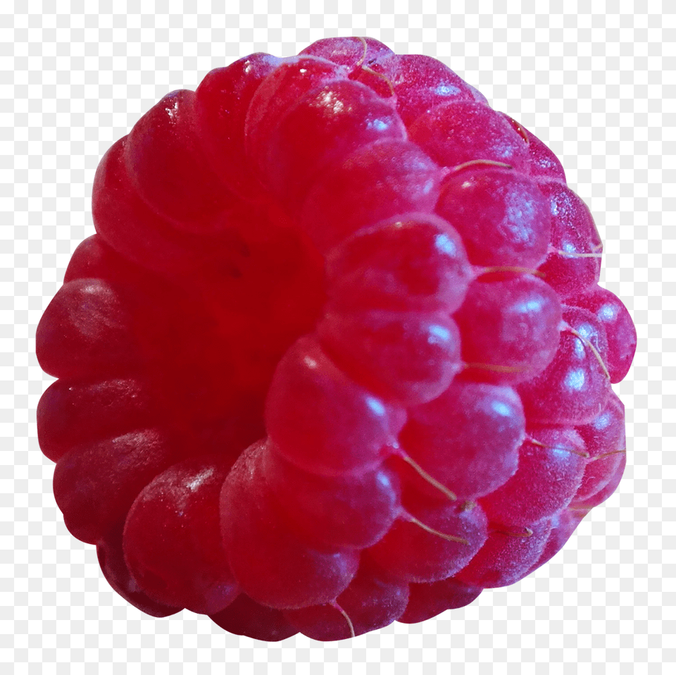 Raspberry, Berry, Food, Fruit, Plant Png