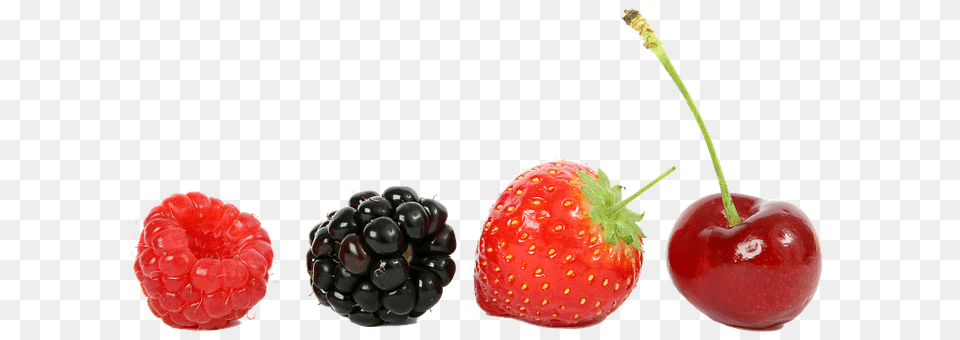 Raspberry Berry, Food, Fruit, Plant Free Transparent Png