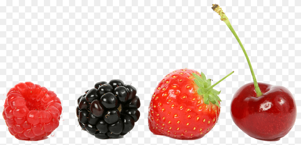 Raspberry Berry, Food, Fruit, Plant Free Png