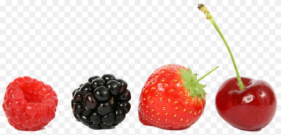 Raspberry Berry, Food, Fruit, Plant Free Png Download