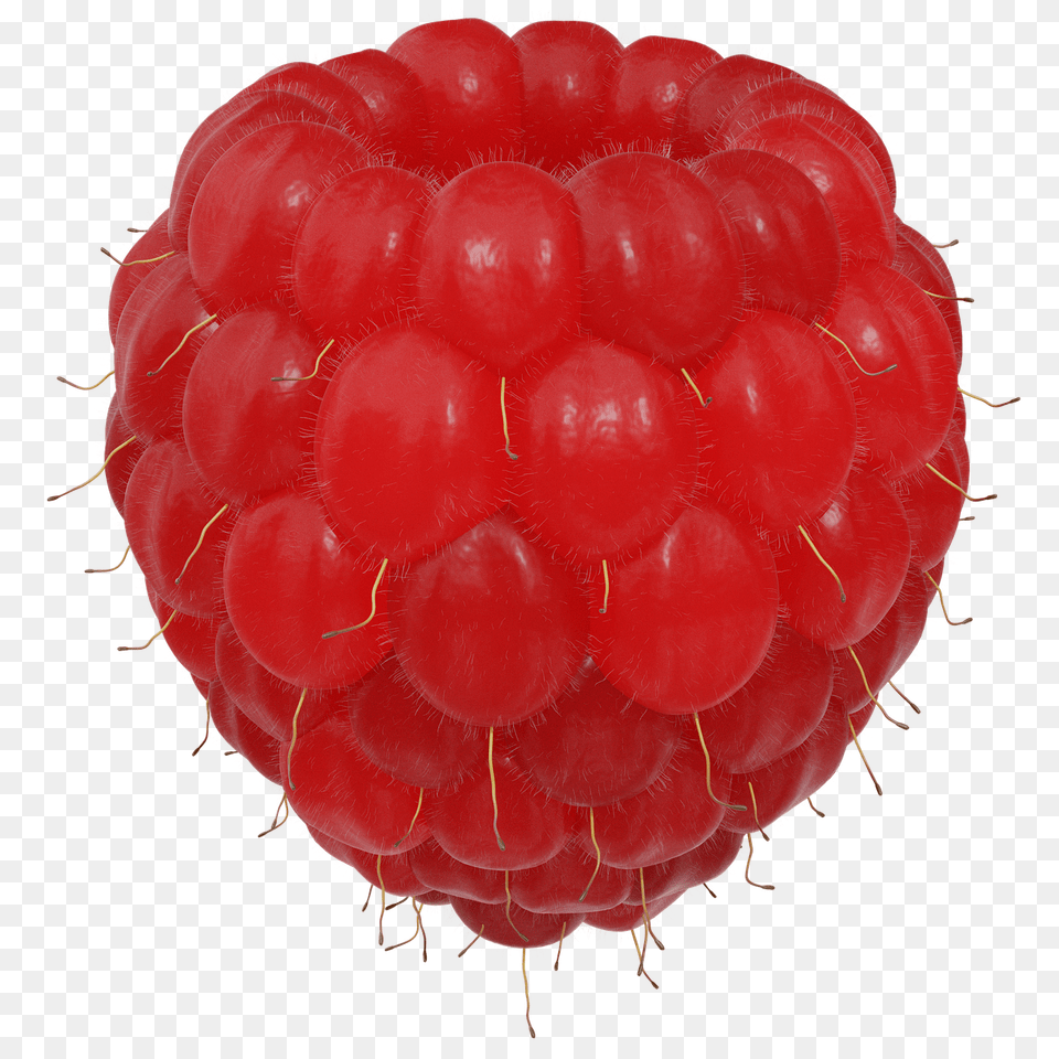 Raspberry Berry, Food, Fruit, Plant Png