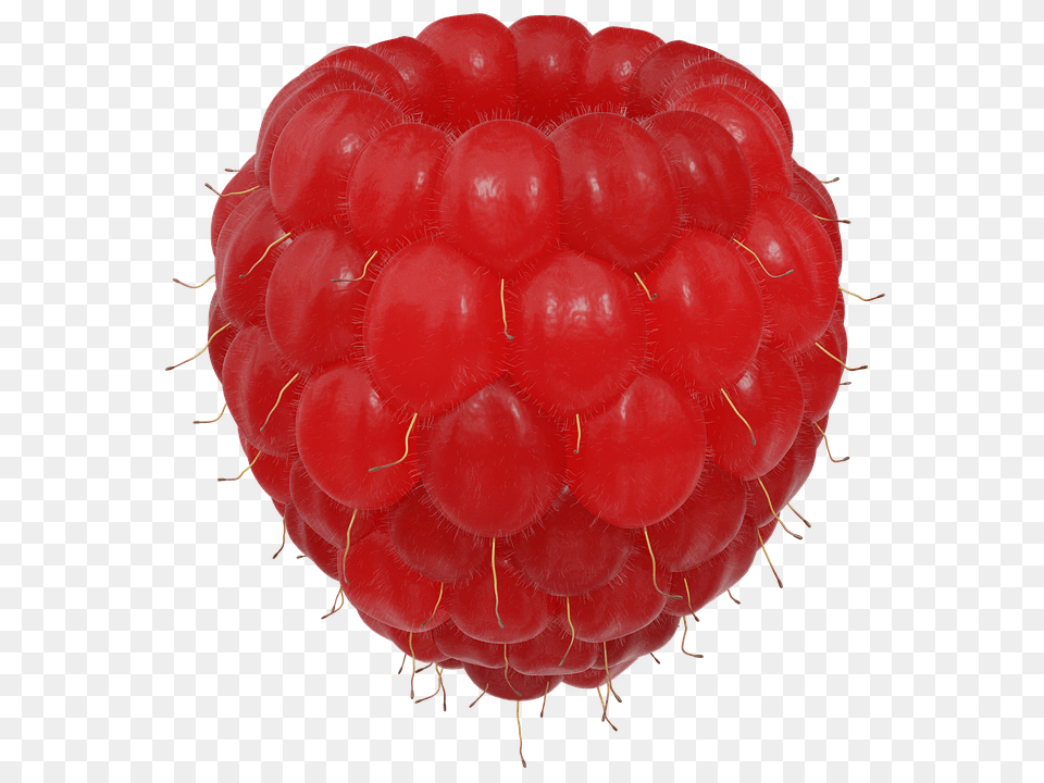 Raspberry Berry, Food, Fruit, Plant Png Image