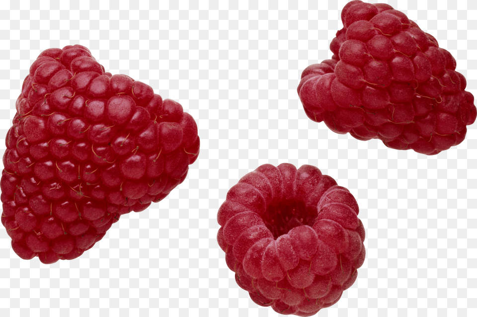 Raspberry, Berry, Food, Fruit, Plant Free Png Download