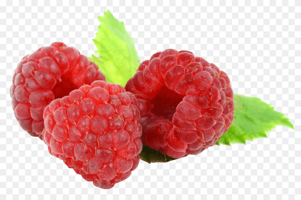 Raspberry, Berry, Food, Fruit, Plant Free Png