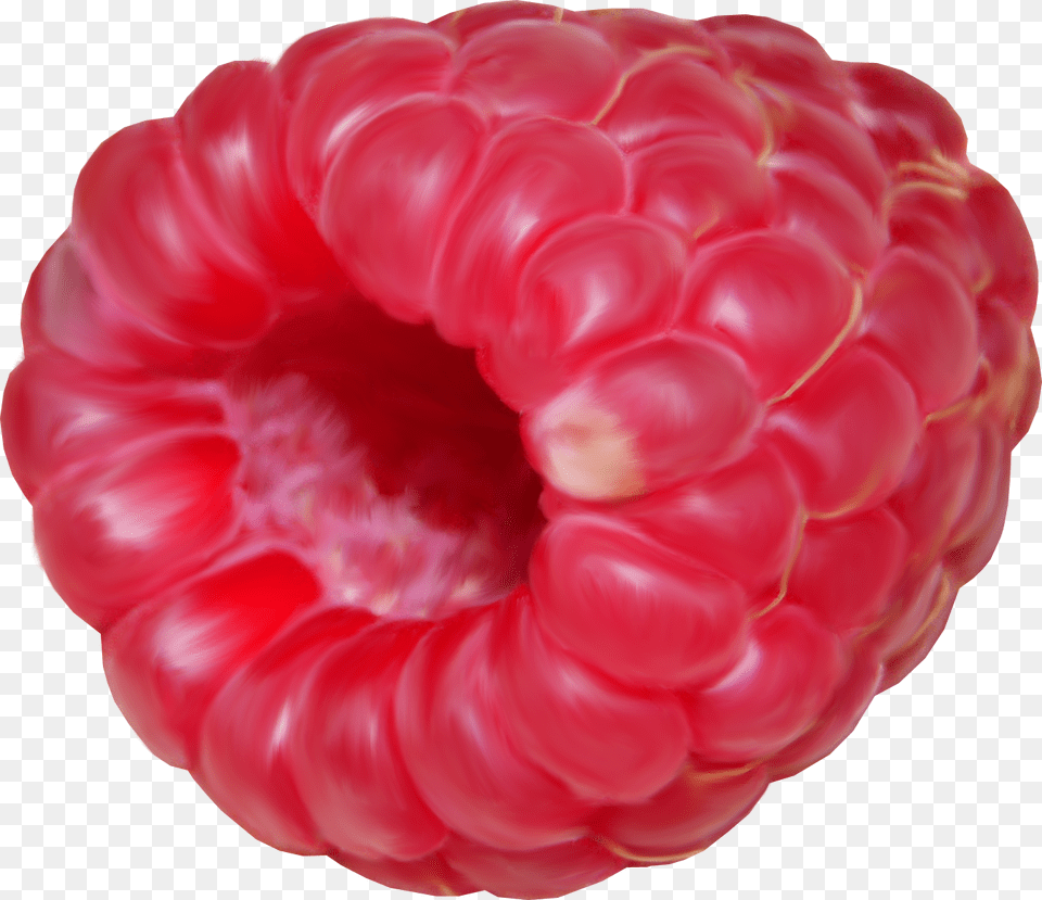 Raspberry, Berry, Food, Fruit, Plant Png Image