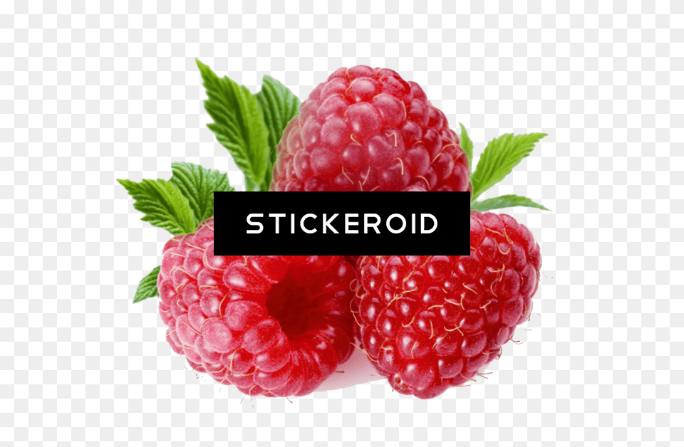 Raspberry, Berry, Food, Fruit, Plant Free Png