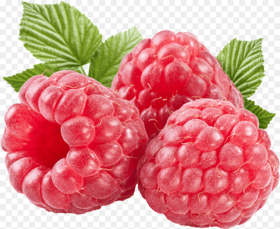 Raspberry Free Png