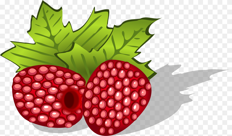 Raspberry, Berry, Food, Fruit, Plant Free Transparent Png