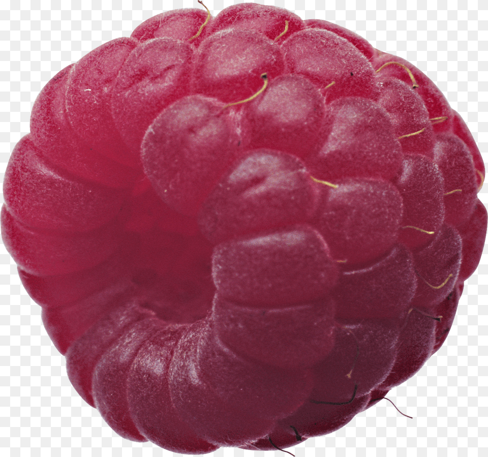 Raspberry, Berry, Food, Fruit, Plant Free Transparent Png