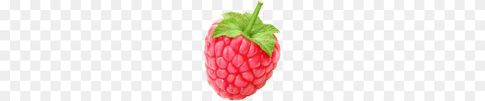 Raspberry, Berry, Produce, Plant, Fruit Free Transparent Png