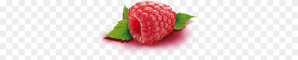 Raspberry, Berry, Food, Fruit, Plant Free Png Download