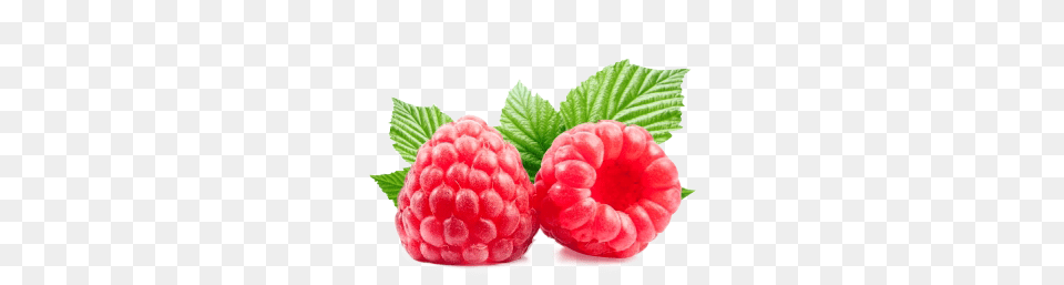 Raspberry, Berry, Produce, Plant, Fruit Free Png Download