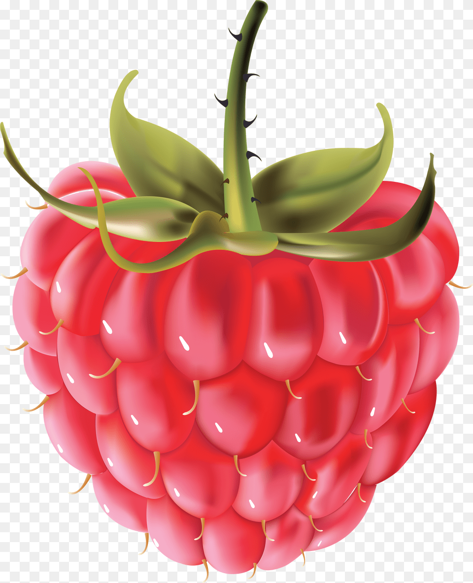 Raspberry, Berry, Food, Fruit, Plant Free Png Download