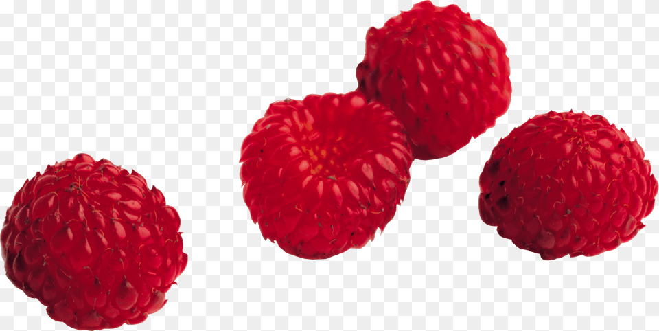 Raspberry, Berry, Food, Fruit, Plant Free Transparent Png