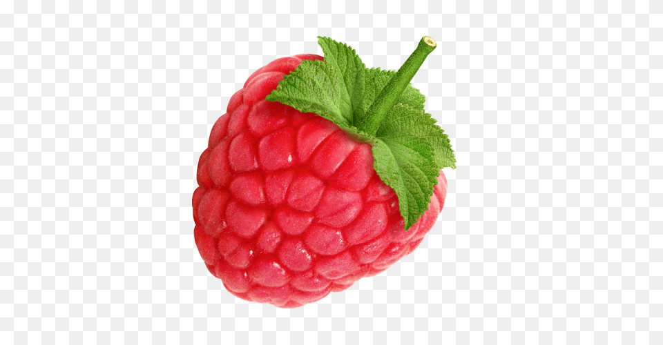 Raspberry, Berry, Food, Fruit, Plant Png Image