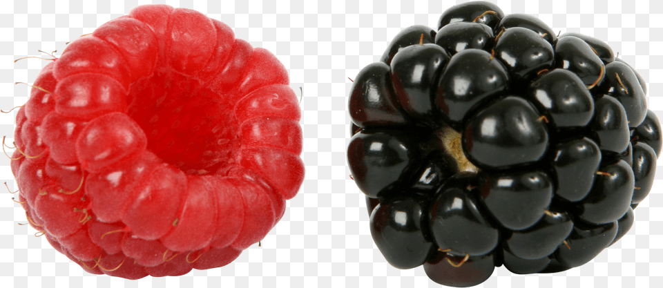 Raspberry Blackberry, Berry, Food, Fruit, Plant Png