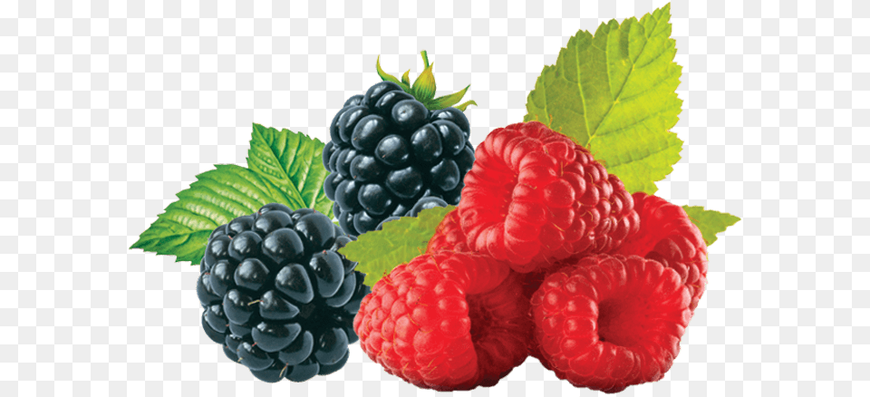 Raspberry Blackberry, Berry, Food, Fruit, Plant Free Png Download