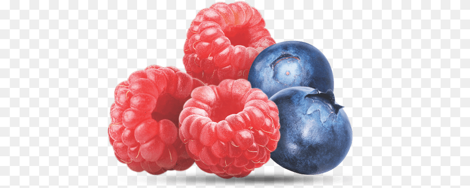 Raspberry Blueberry Blueberry, Berry, Food, Fruit, Plant Free Png