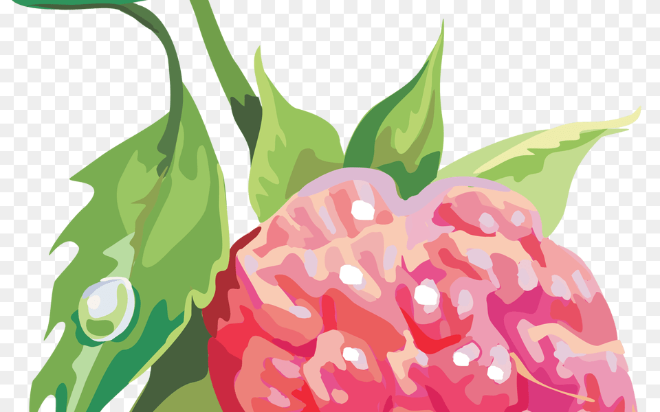 Raspberry Clip Art Hot Trending Now, Berry, Food, Fruit, Plant Png
