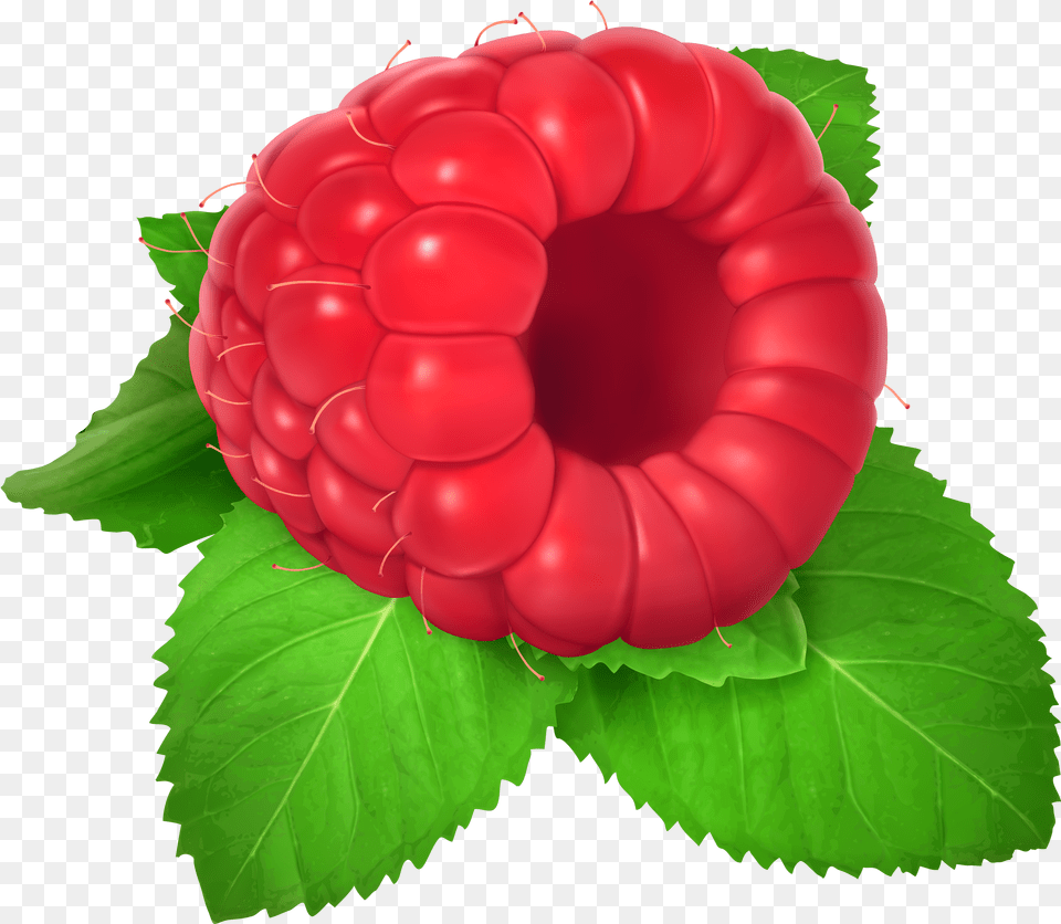 Raspberry Clipart, Berry, Food, Fruit, Plant Free Png Download