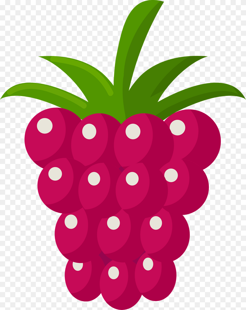 Raspberry Clipart, Berry, Food, Fruit, Plant Free Transparent Png