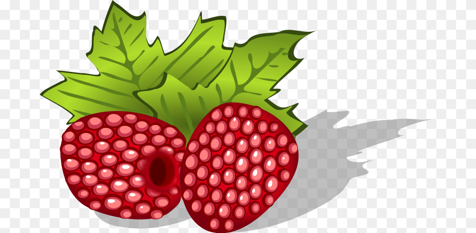 Raspberry Cliparts, Berry, Food, Fruit, Plant Free Png Download