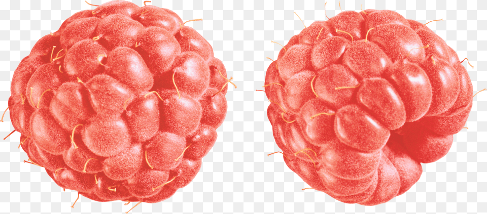 Raspberry Duo Vintage, Berry, Food, Fruit, Plant Png Image