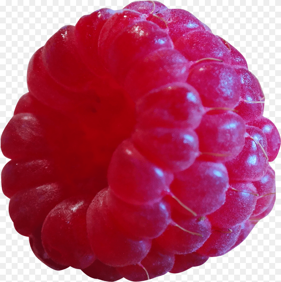 Raspberry Emoji Raspberry Raspberry, Berry, Food, Fruit, Plant Free Transparent Png