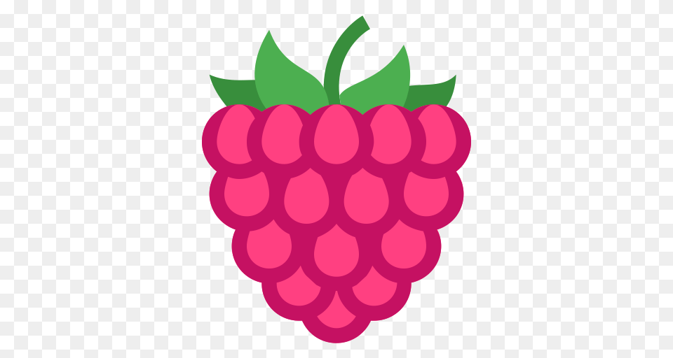 Raspberry Fill Multicolor Icon With And Vector Format, Berry, Food, Fruit, Plant Free Transparent Png