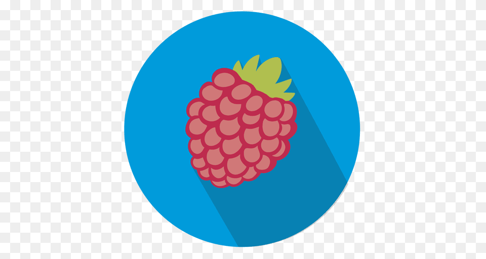Raspberry Fruit Circle Icon, Berry, Food, Plant, Produce Free Png Download