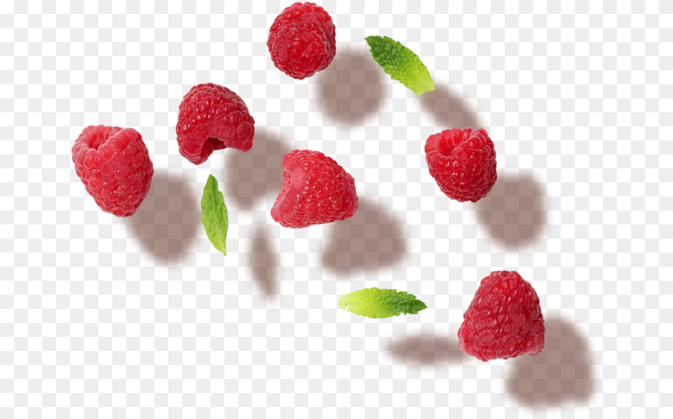 Raspberry Frutti Di Bosco, Berry, Food, Fruit, Plant Free Png Download