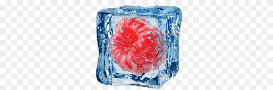 Raspberry Icecube, Berry, Food, Fruit, Plant Free Transparent Png