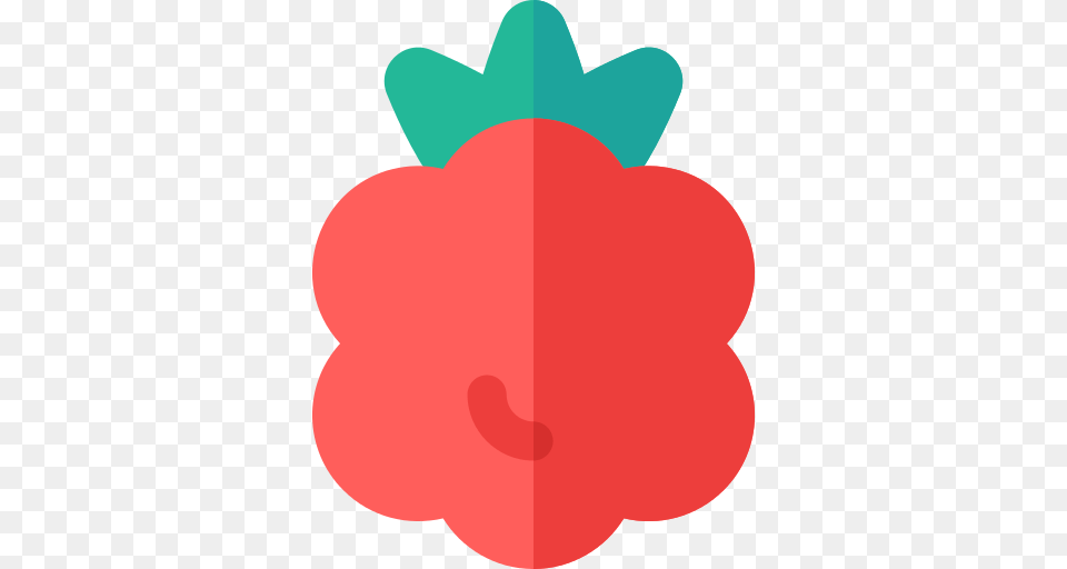 Raspberry Icon, Berry, Produce, Plant, Fruit Png Image