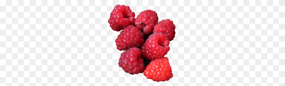 Raspberry Image, Berry, Food, Fruit, Plant Png
